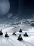 pic for WINTER MOON